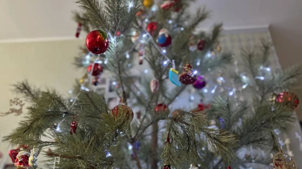 Фото: МедиаБанк Подмосковья/Светлана Плотникова