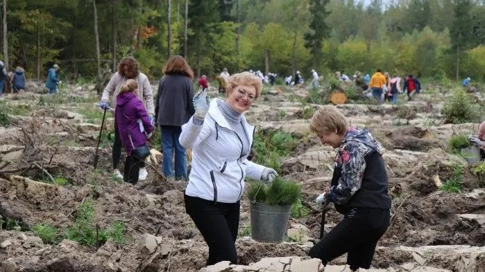 Комитет лесного хозяйства Московской области
