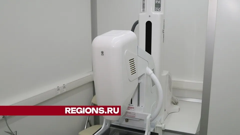 Фото: Александр Дрожжин