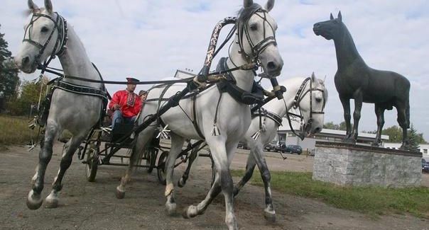 Юбилейный заезд русских экипажей пройдет в Подмосковье 9 августа