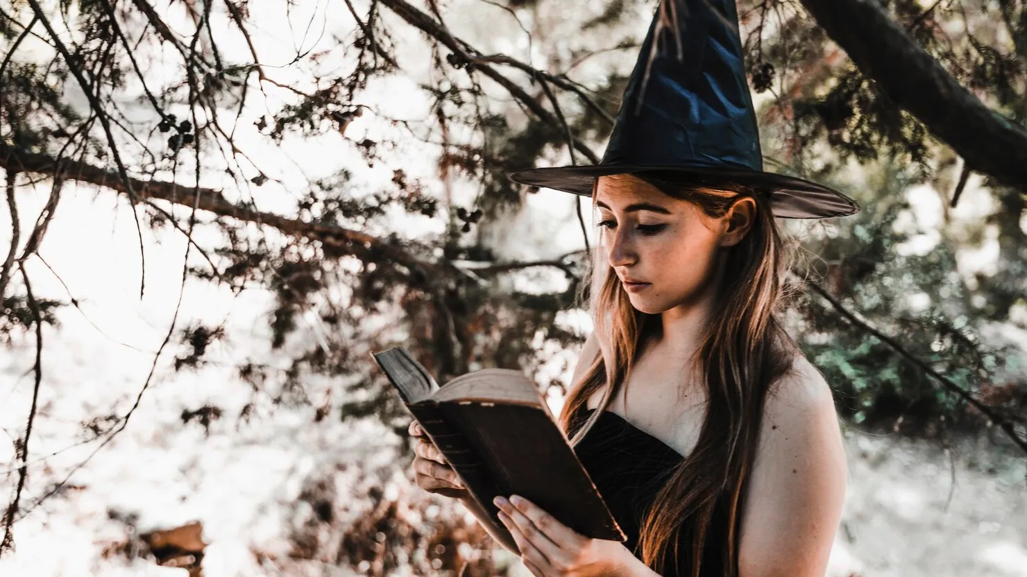 Фото: freepik.com