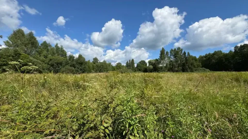 Фото: Единый портал торгов МО ЕАСУЗ