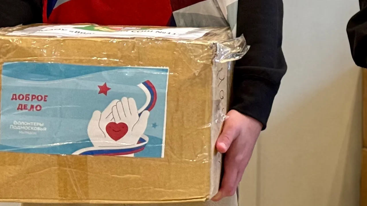 МедиаБанк Подмосковья/Полина Абраменко