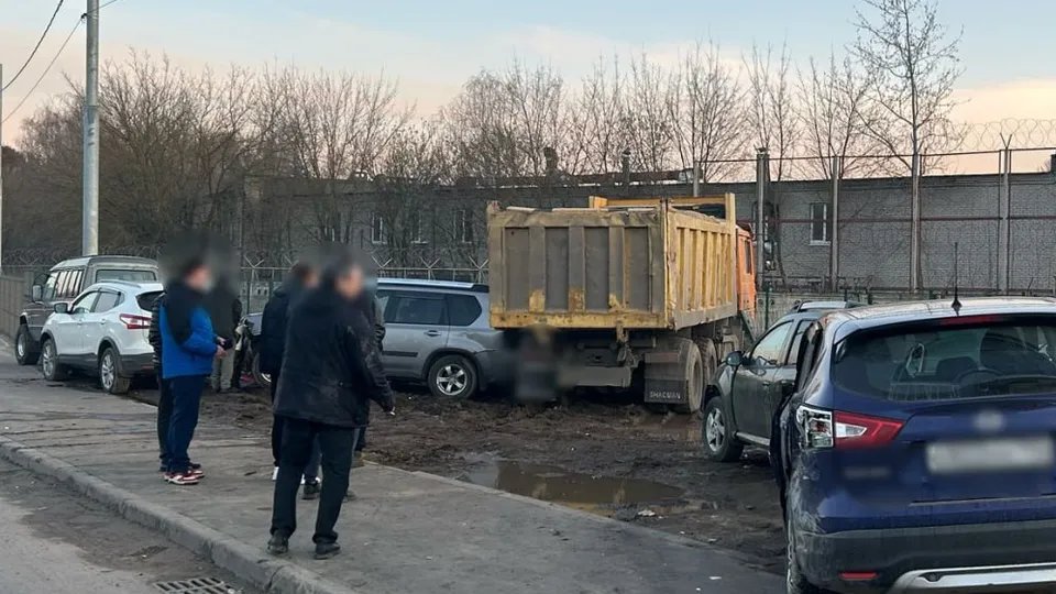 Фото: ГУ МВД России по Московской области