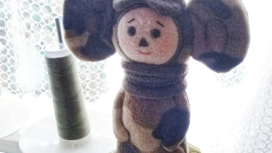 Фото: vk.com / Строчим ZА наших Истра