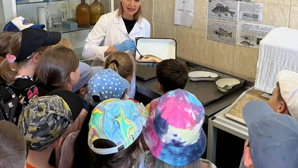 Фото: Министерство сельского хозяйства и продовольствия Московской области