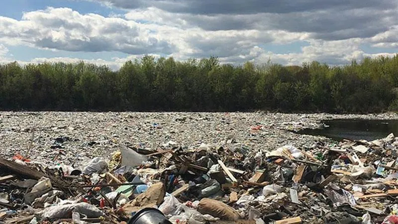 Свалку на озере Глушица в Жуковском уберут к концу сентября