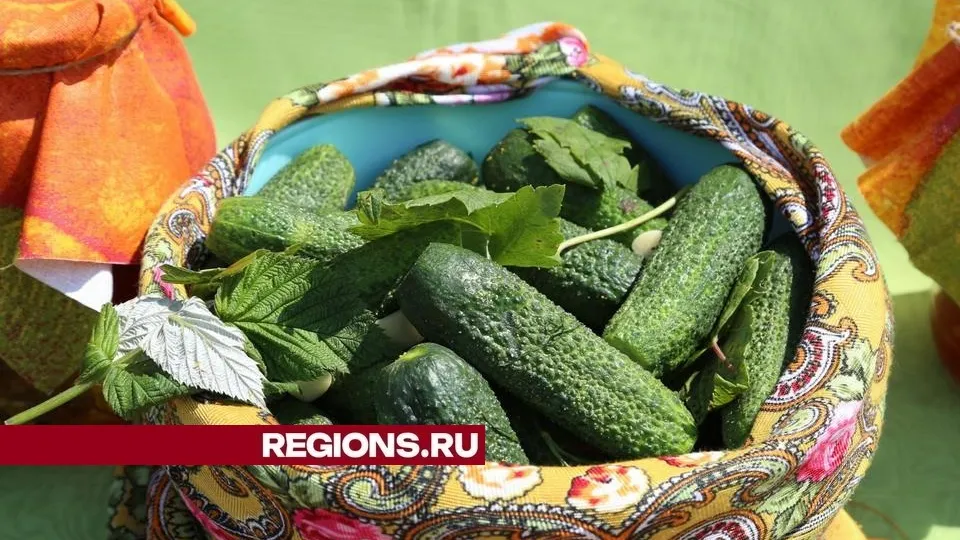 Фото: Александр Дрожжин