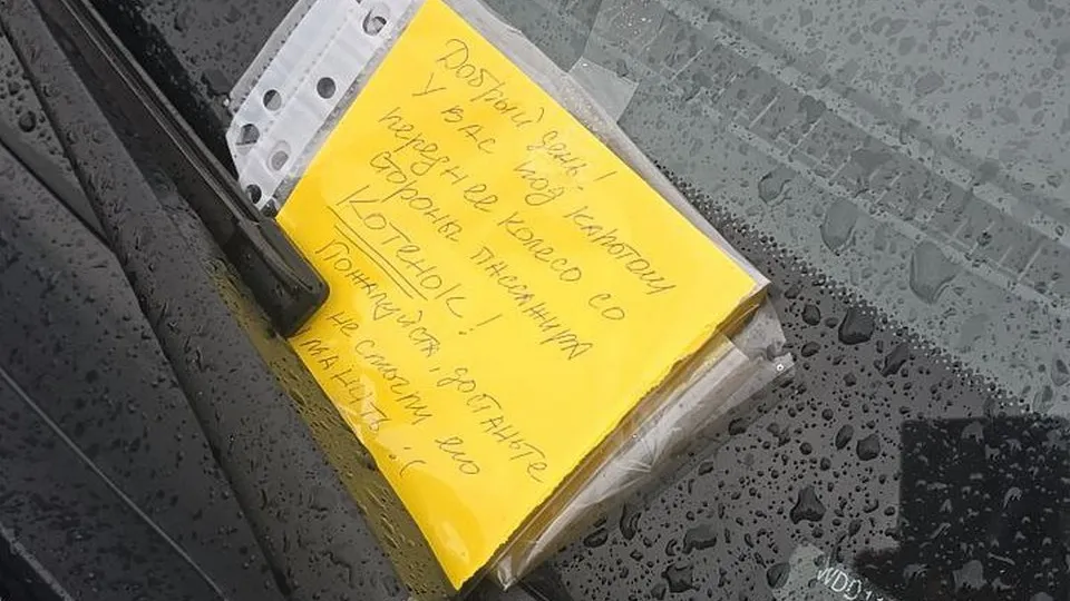 Фото: личный архив Светланы А.