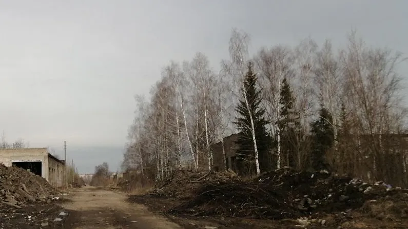 Фото: пресс-служба Минэкологии МО