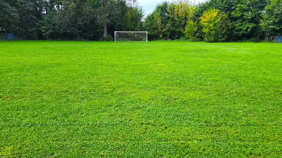 Фото: МедиаБанк Подмосковья/Анастасия Сараева