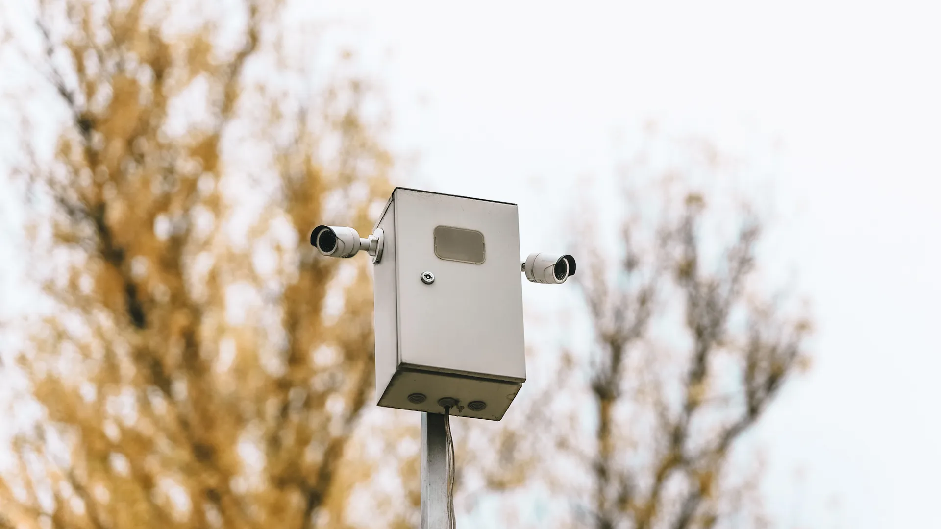 Анна Реппель