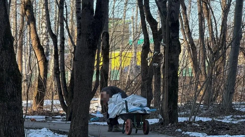 Фото: t.me/dmitrov_gorod