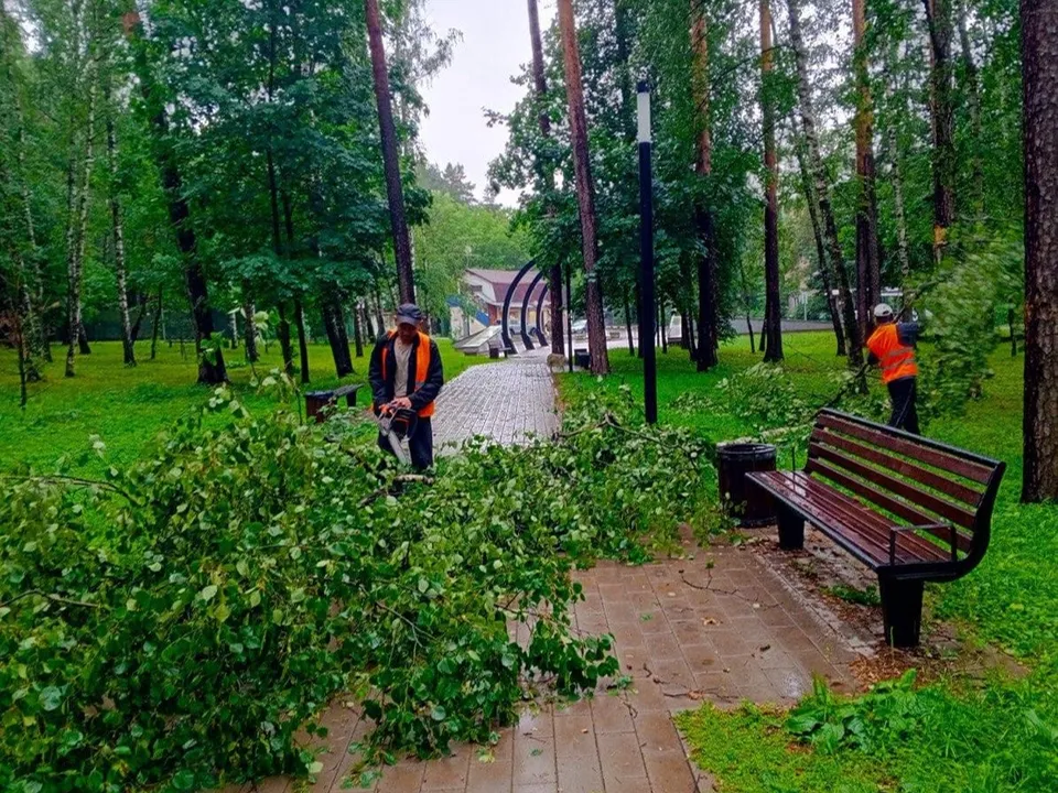 Фото: администрация городского округа Люберцы