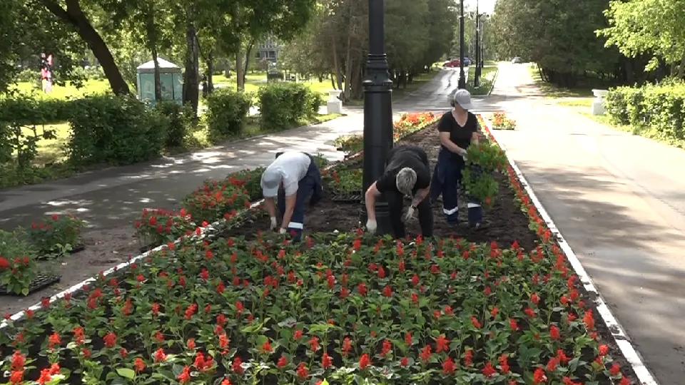 Фото: пресс-служба администрации г.о. Дубна