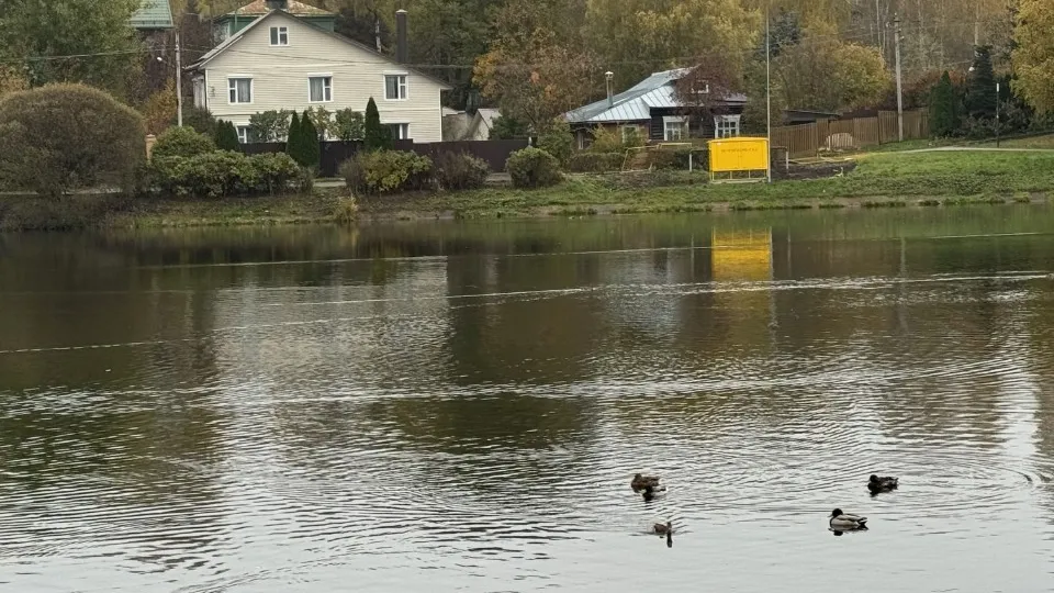 Фото: REGIONS/Татьяна Сташенко