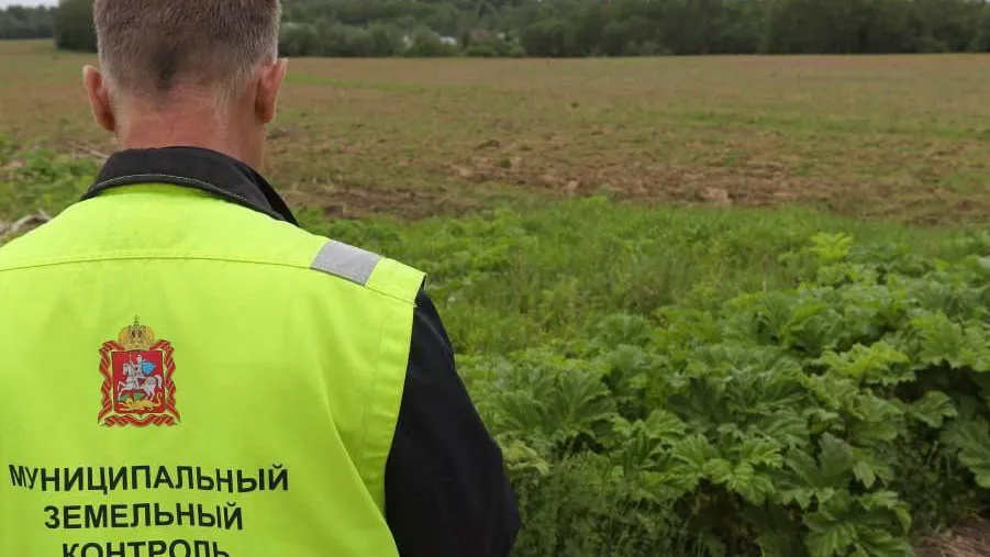 Фото: пресс-служба Сергиево-Посадского г.о.