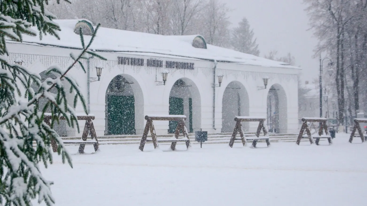 Фото: Министерство благоустройства Московской области