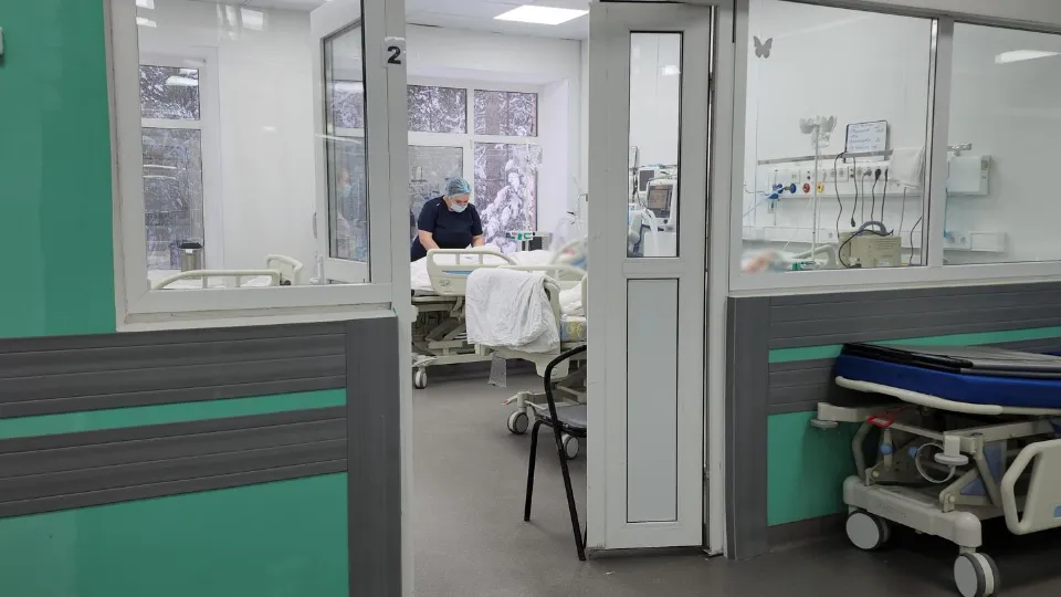 Фото: МедиаБанк Подмосковья / Юлия Андросова