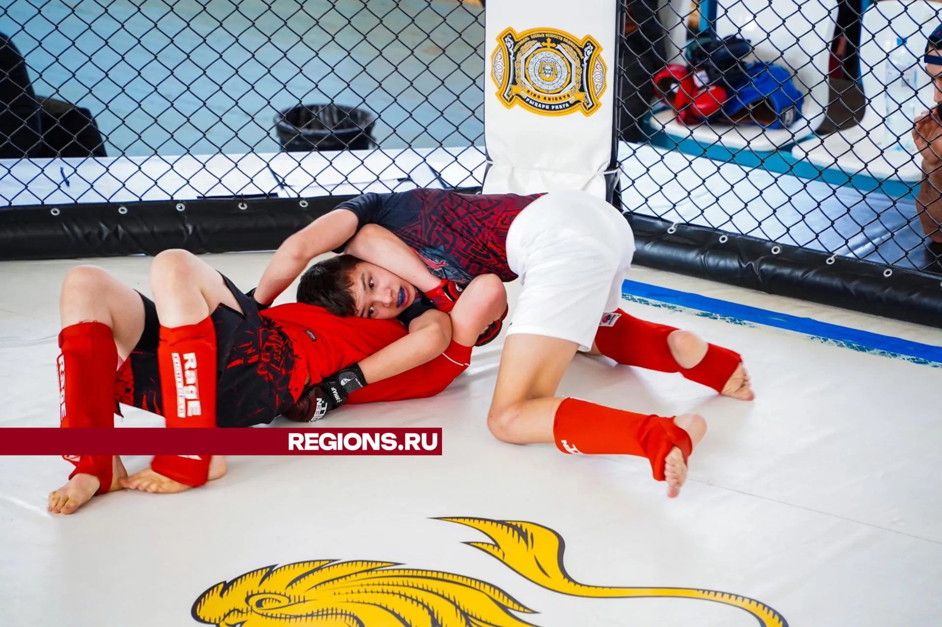 Фото: Анастасия Хренкова