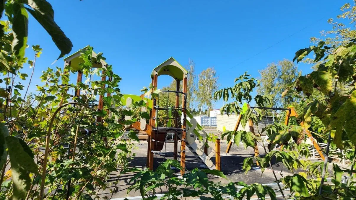 Фото: Яна Шаливская