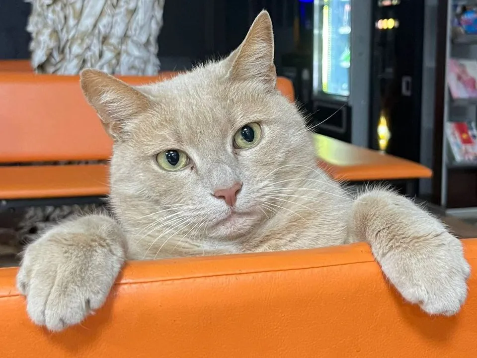 Фото: МБУ «Биокомбинатовская ЦКС»/Анна Ильичева