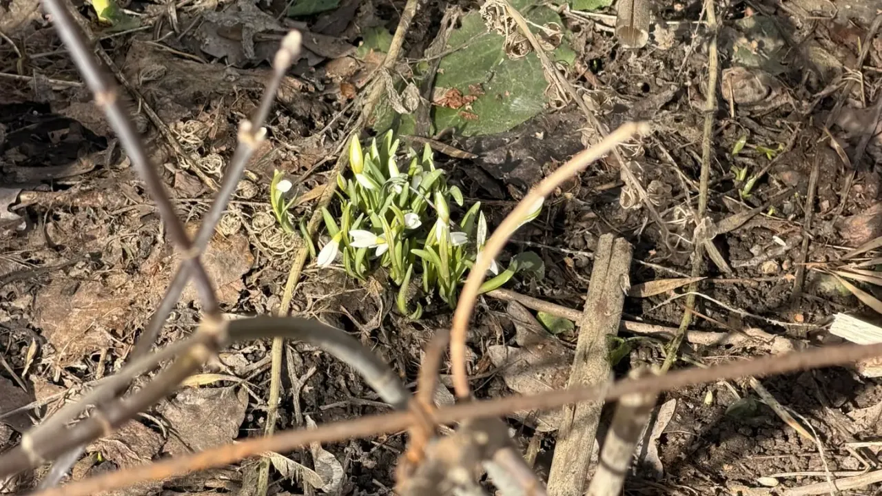 REGIONS/Дарья Назарова