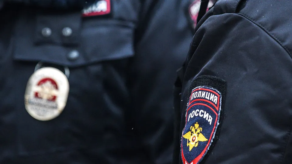 Фото: Медиаархив Подмосковья