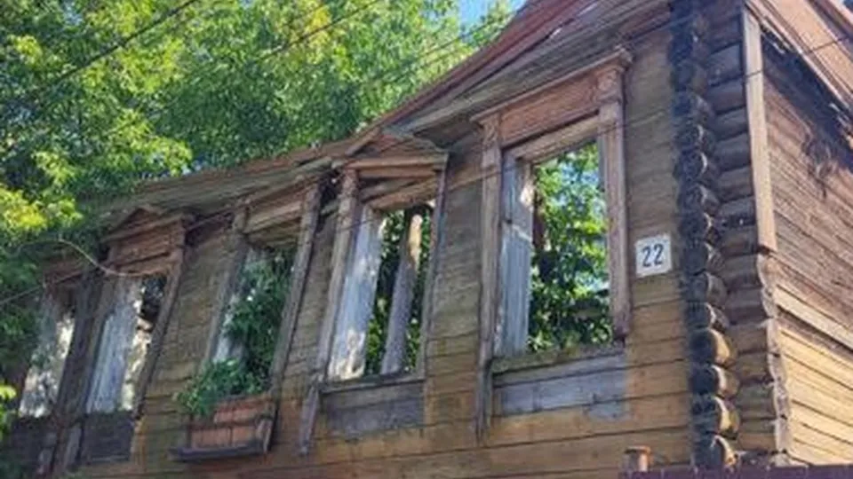 Фото: администрация Орехово-Зуевского г.о.