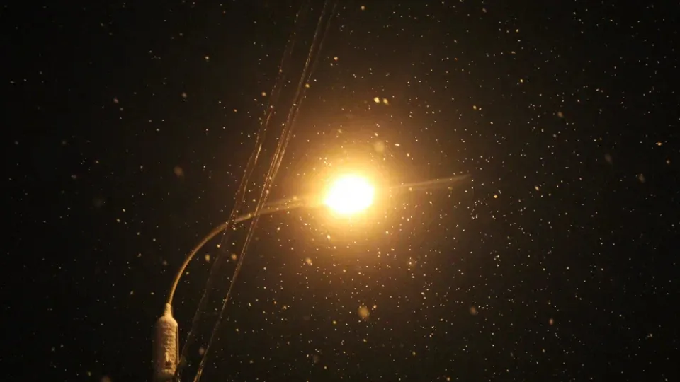 Фото: REGIONS/Василий Тремасов