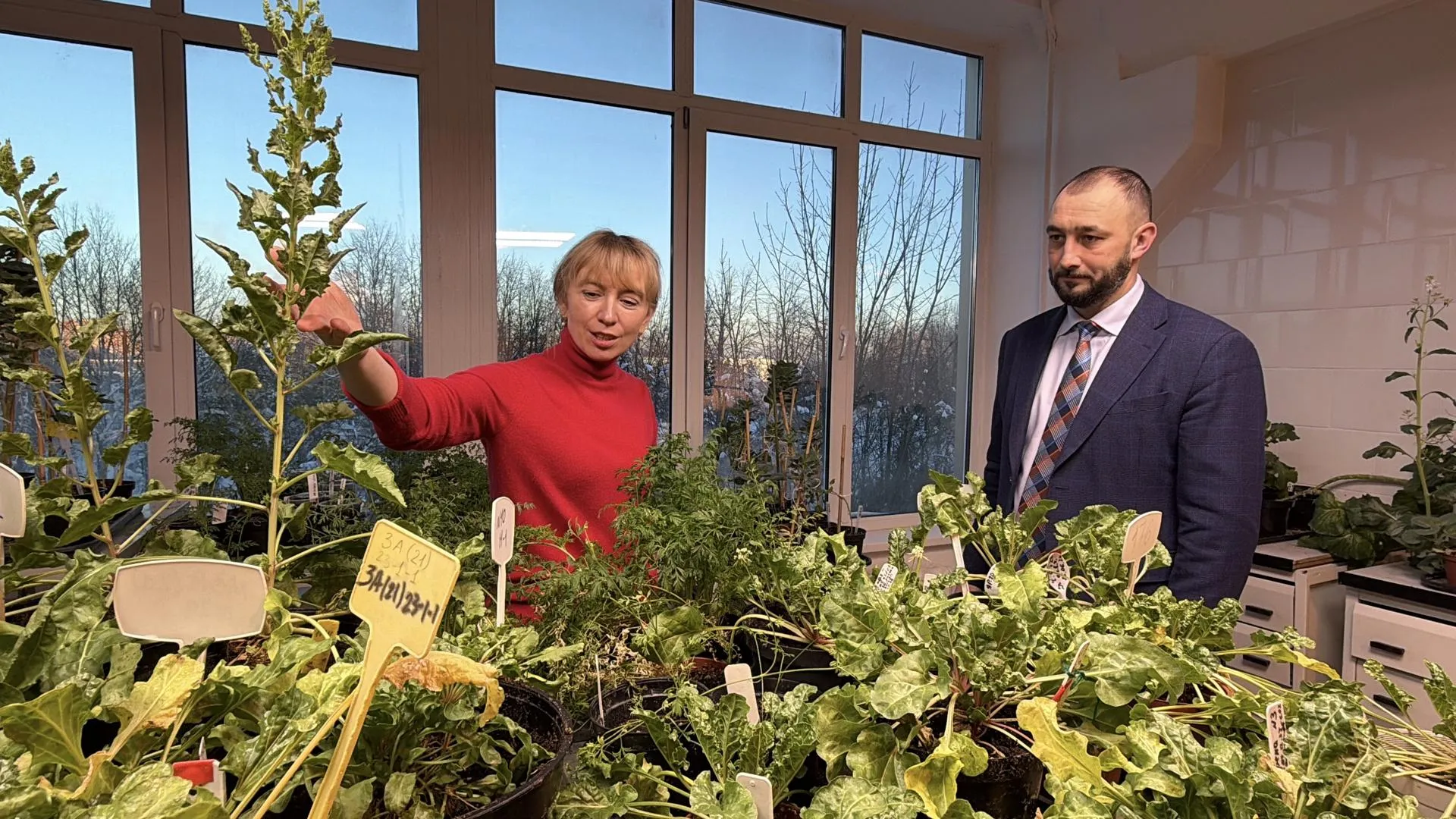 REGIONS/Мария Шматкова