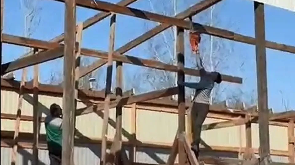 Фото: пресс-служба Министерства сельского хозяйства и продовольствия МО