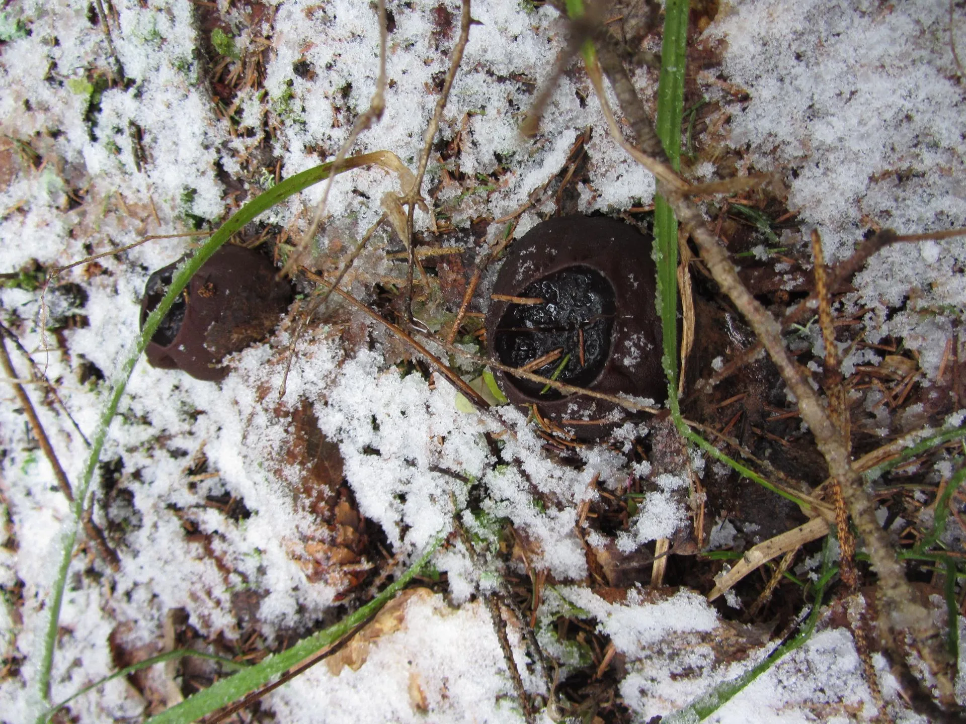 Министерство экологии и природопользования Московской области