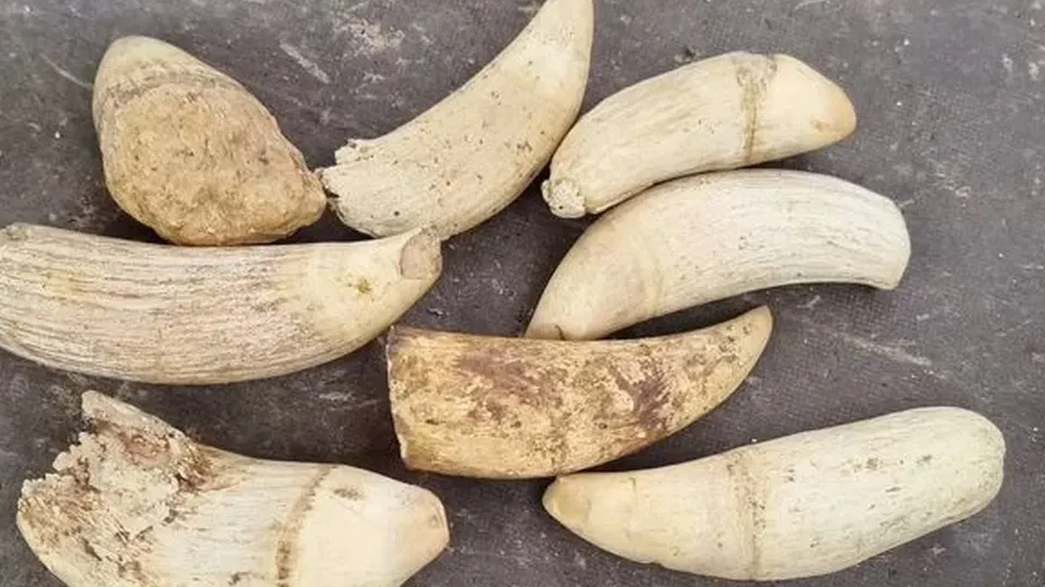 Фото: городская доска объявлений