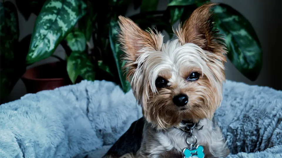 Фото: unsplash.com