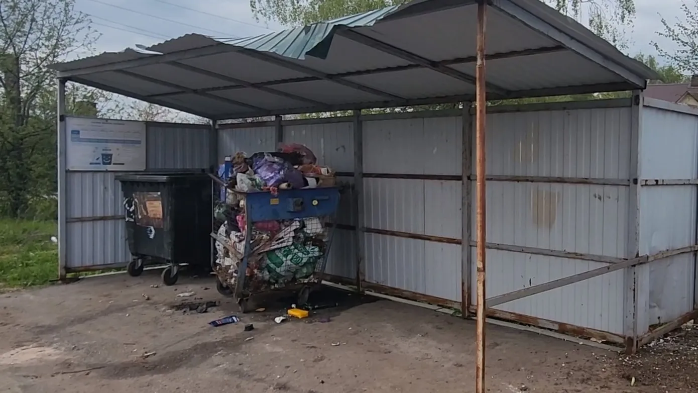 Фото: Медиабанк Подмосковья