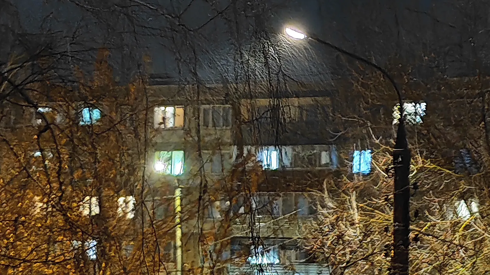 Фото: REGIONS/Алексей Селиверстов