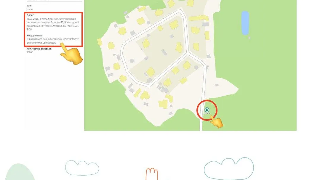 Комитет лесного хозяйства МО