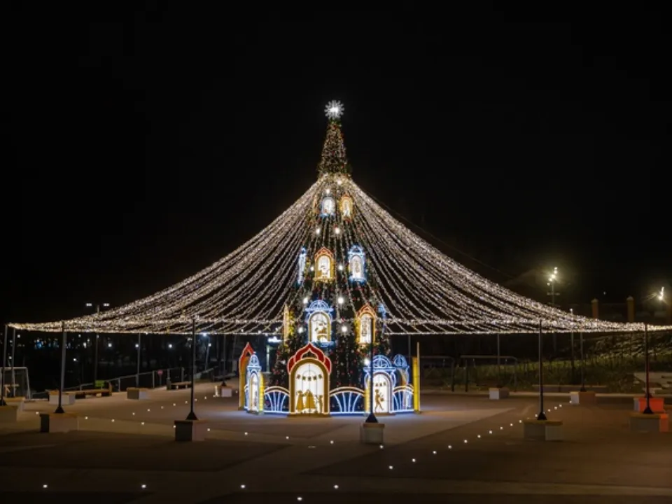 Фото: Алексей Гречушников