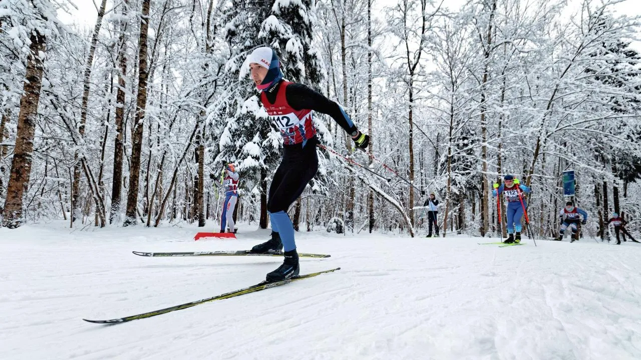 медиасток.рф