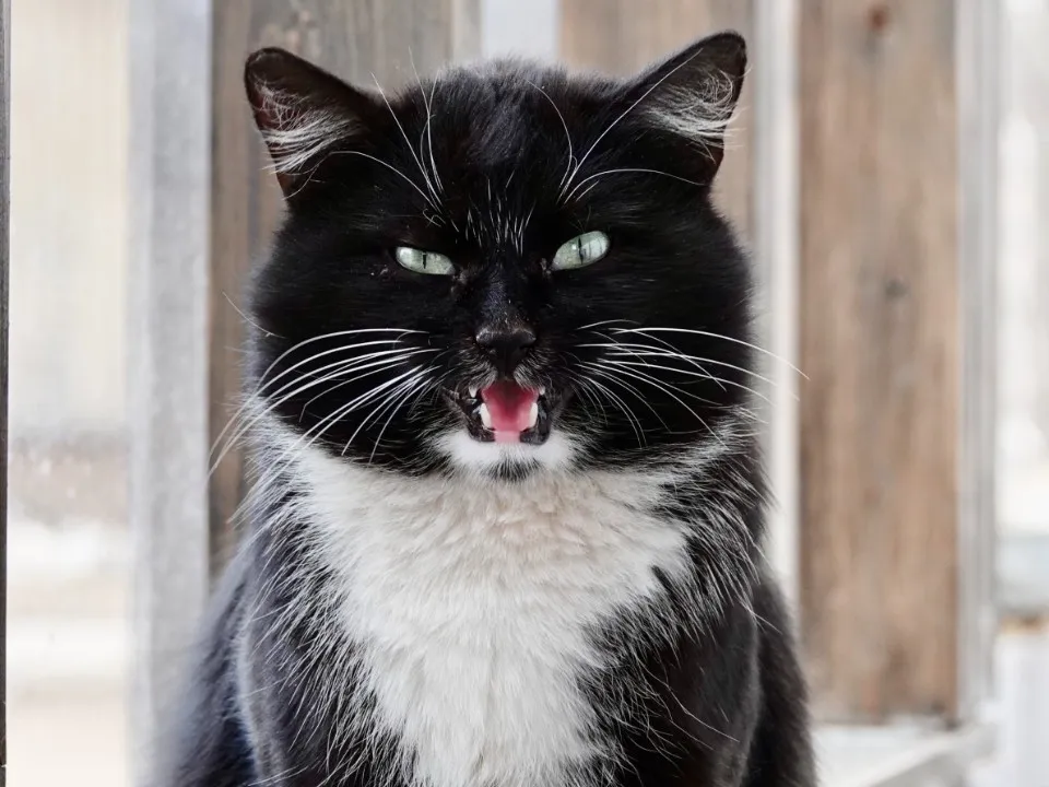 Фото: Дарья Леонова