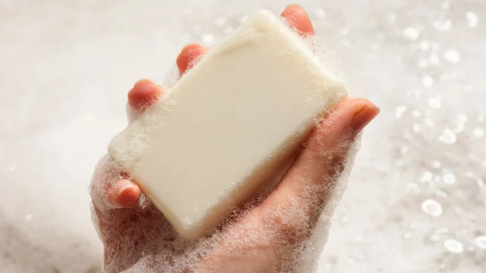 Фото: istockphoto.com/greenp