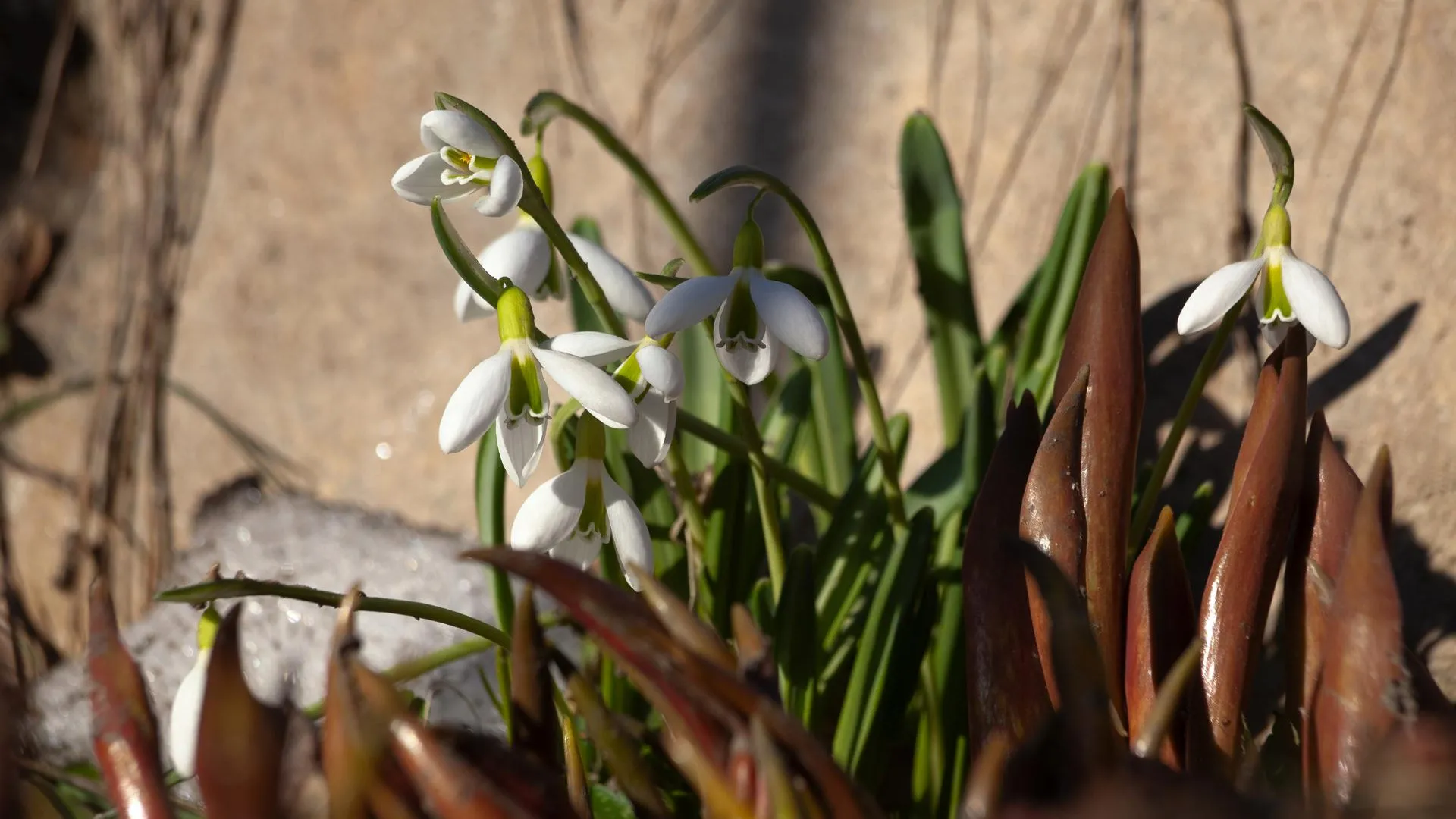 медиасток.рф