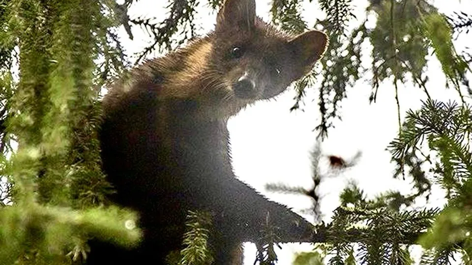 Фото: личный архив Елены Швыдун