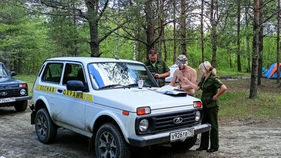 Фото: пресс-служба комитета лесного хозяйства Московской области