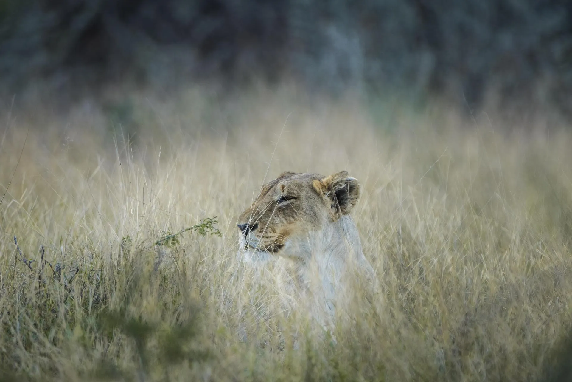 Matthias Graben/http://imagebroker.com/#/search/