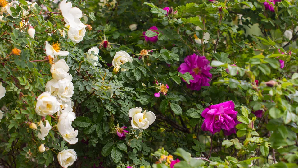 Фото: istockphoto.com