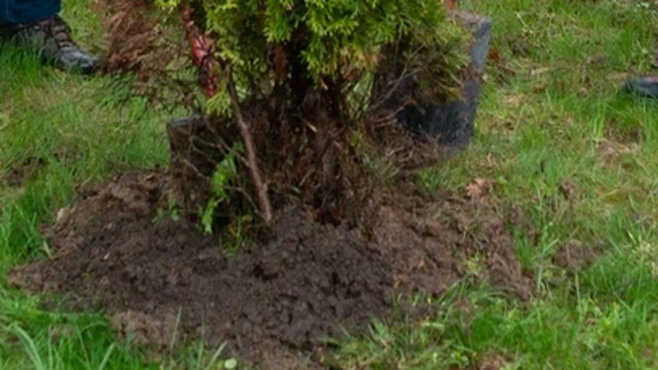 REGIONS/Наталья Надточая