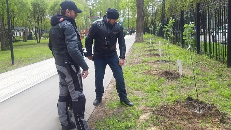 В Городском округе Пушкинский в честь героев Советского Союза высадили деревья