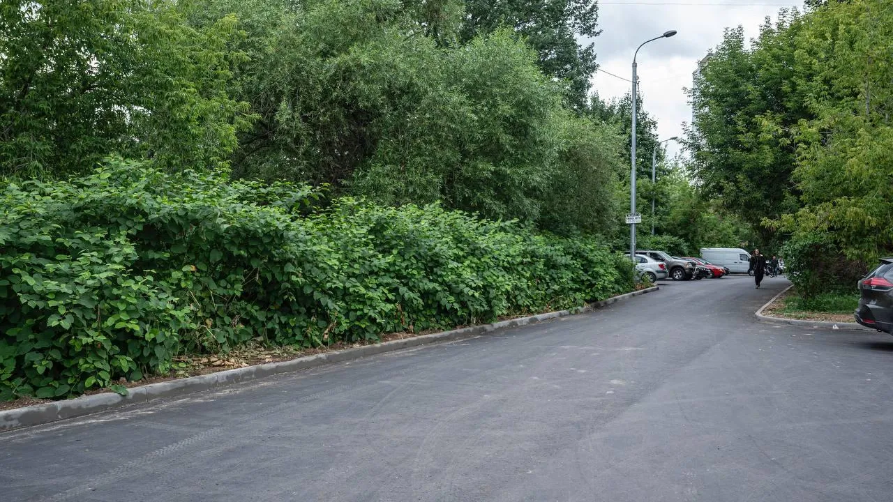 В Ленинском городском округе в этом году комплексно благоустроят ряд дворов